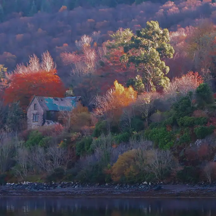 November